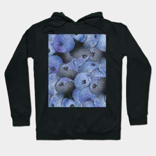 blueberry Hoodie